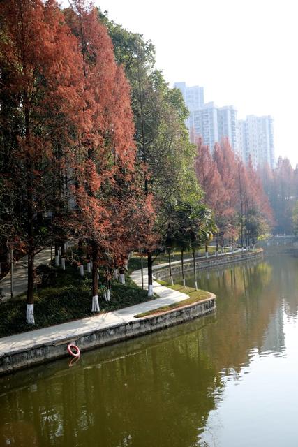 湘西 校园 美景 冬日 画卷 美丽 拍摄 大学 吉首
