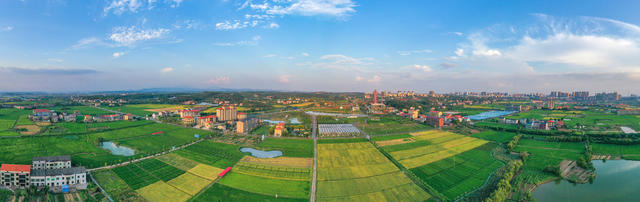 乡村振兴
