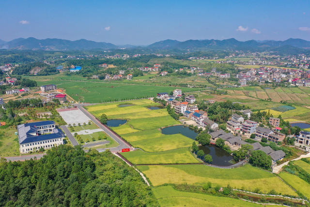 乡村振兴