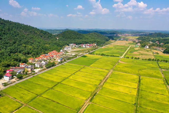 乡村振兴