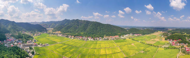 乡村振兴