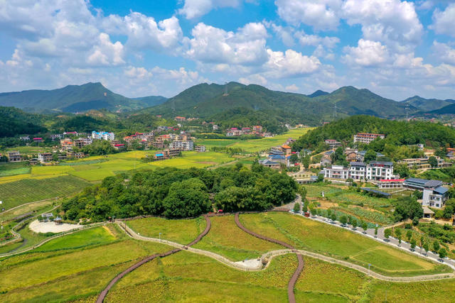 乡村振兴