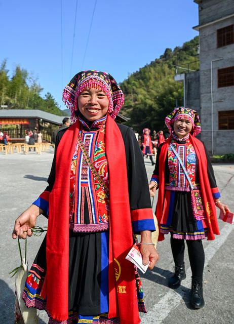 分红 乡村振兴 