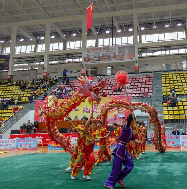 青少年（校园）武术  邀请赛