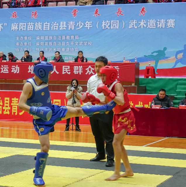 青少年（校园）武术  邀请赛
