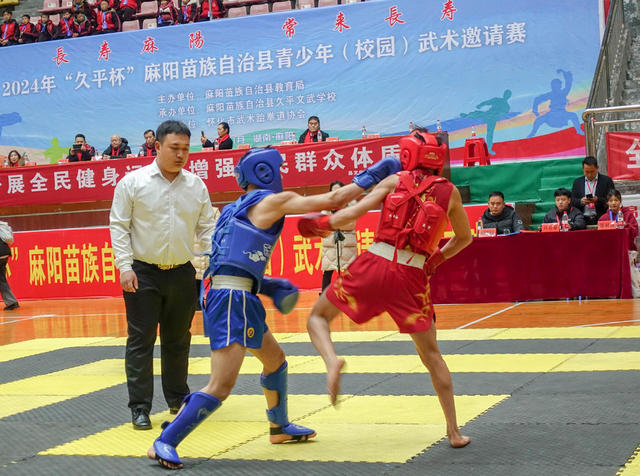 青少年（校园）武术  邀请赛