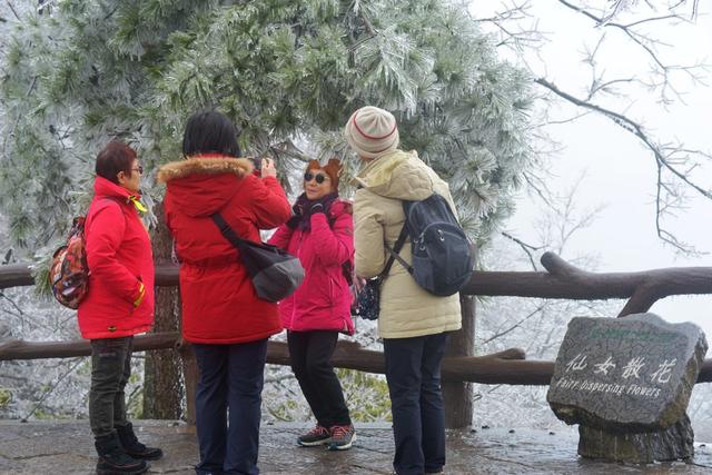 张家界 冰雪 香港游客