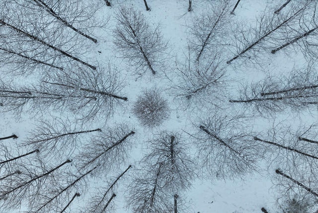 雪 衡阳 石鼓书院 风光，美景