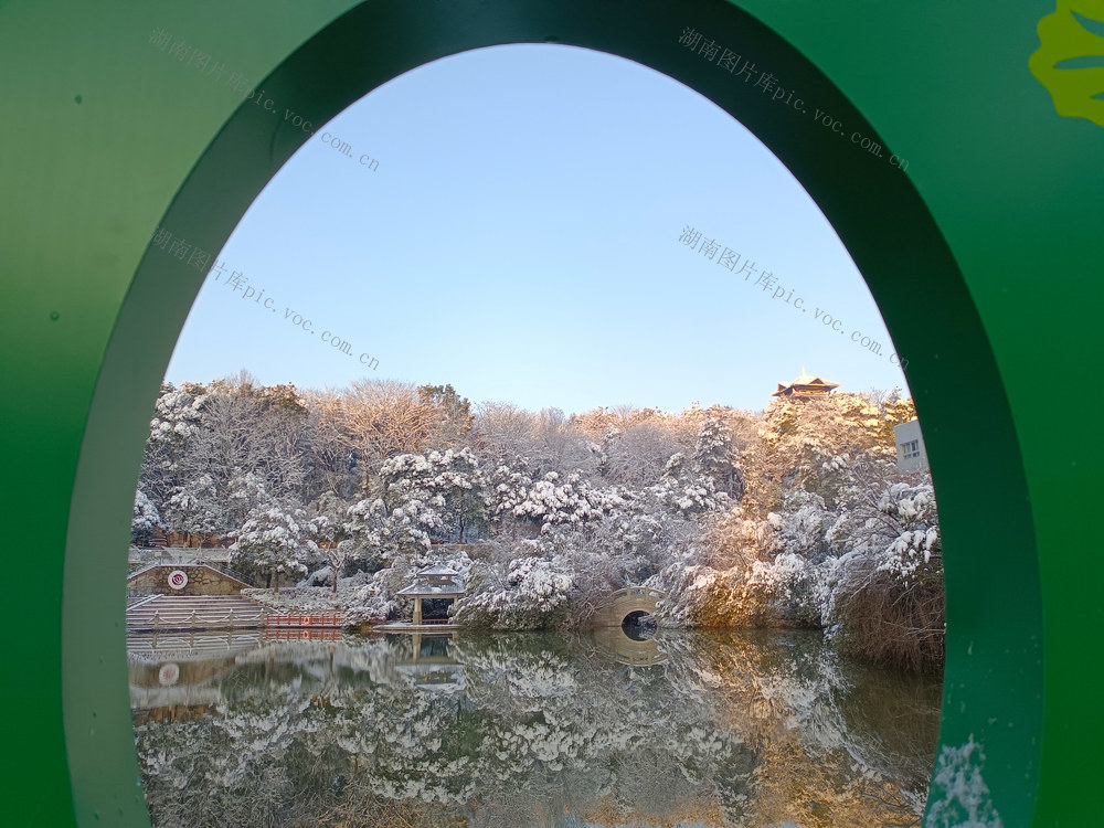 晴雪