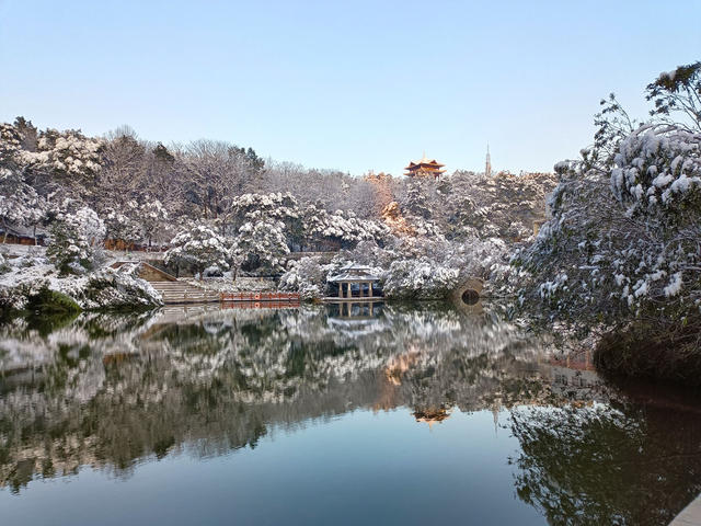 晴雪