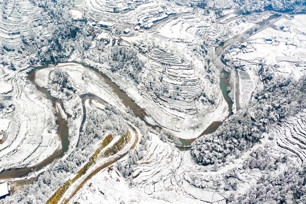 雪  茶园   湘西  吉首 