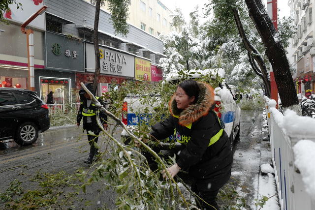 低温雨雪 园林 环卫 城管 交警 安全