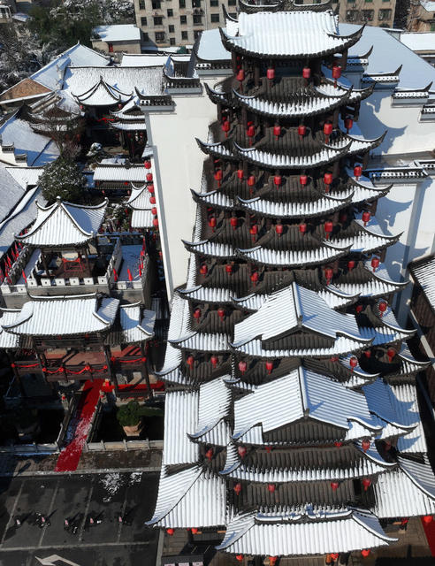 雪 韵 南方 小鸟 梅花 美景