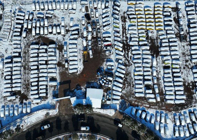 雪 韵 南方 小鸟 梅花 美景