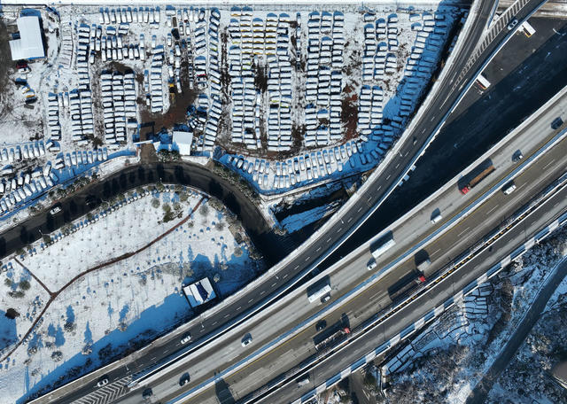 雪 韵 南方 小鸟 梅花 美景