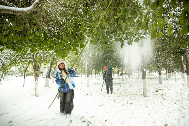 除冰扫雪