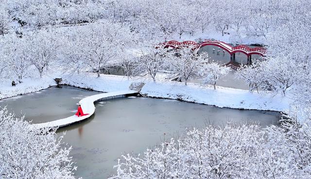 湖南  常宁  樱花园  美景