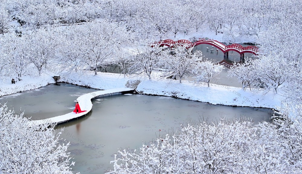 湖南  常宁  樱花园  美景