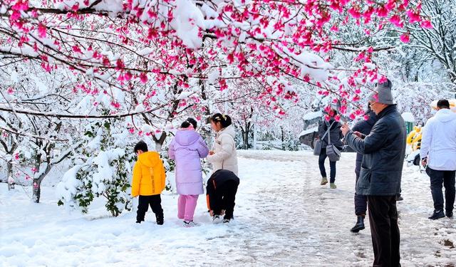 湖南  常宁  樱花园  美景