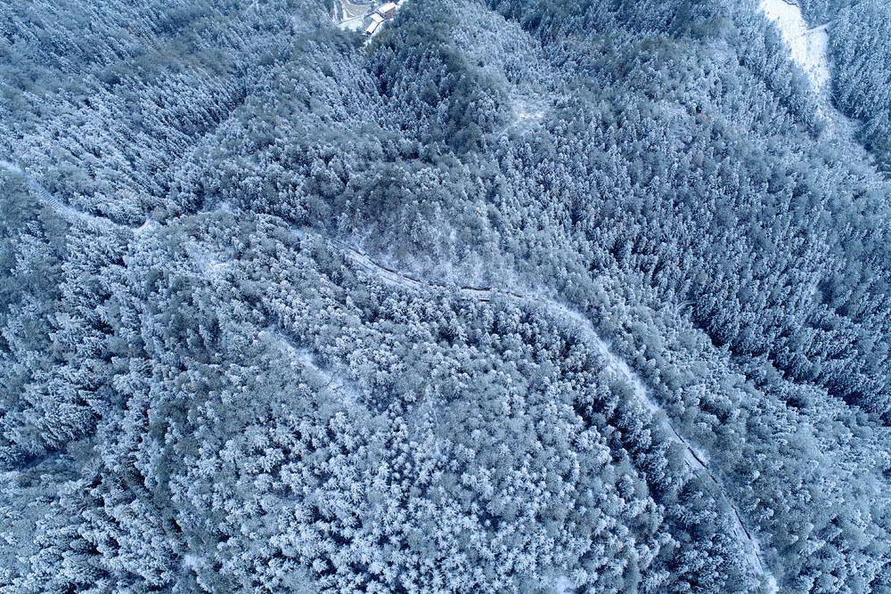 湖南桂东 银妆素裹 妖娆 森林公园 雪花 画