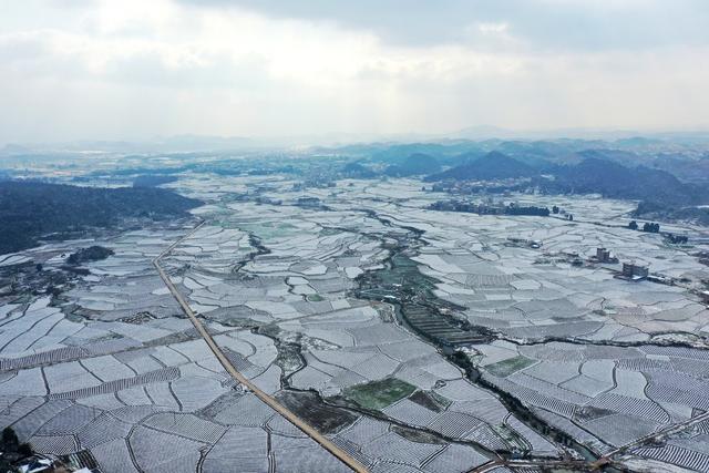 瑞雪 美景