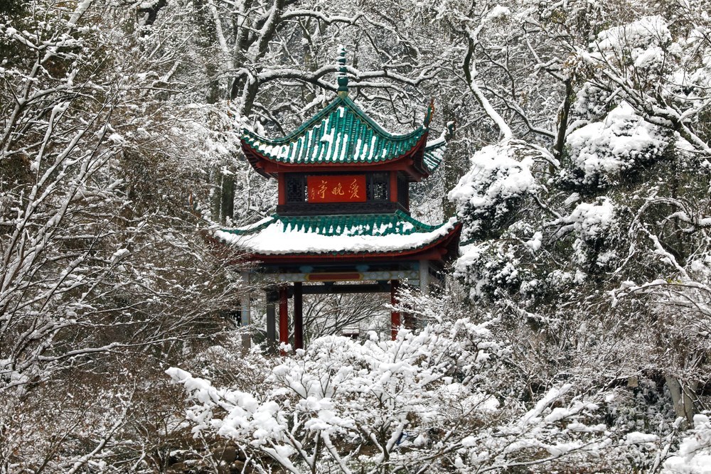 爱晚亭，雪后，景迷人