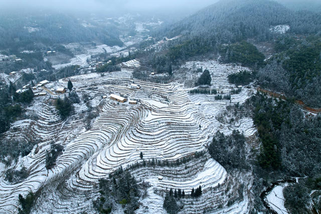 湖南桂东 雪 梯田 画 禾坪村