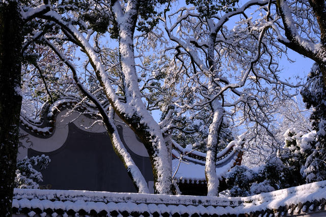 岳麓书院，雪景如画