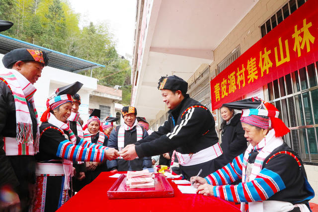 集体经济  分红  务工  收入