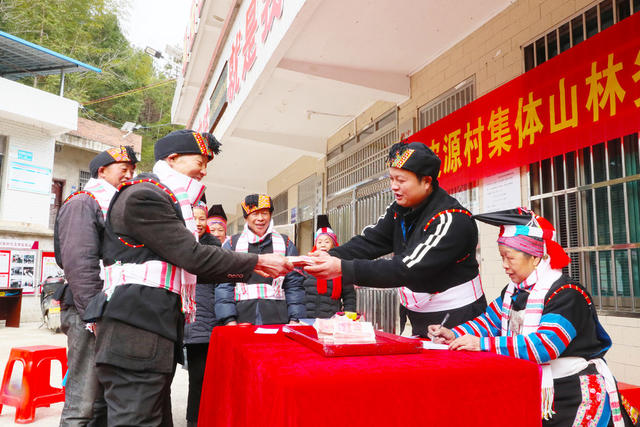 集体经济  分红  务工  收入