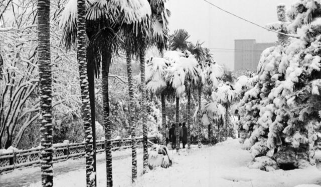 烈士公园  长沙雪景