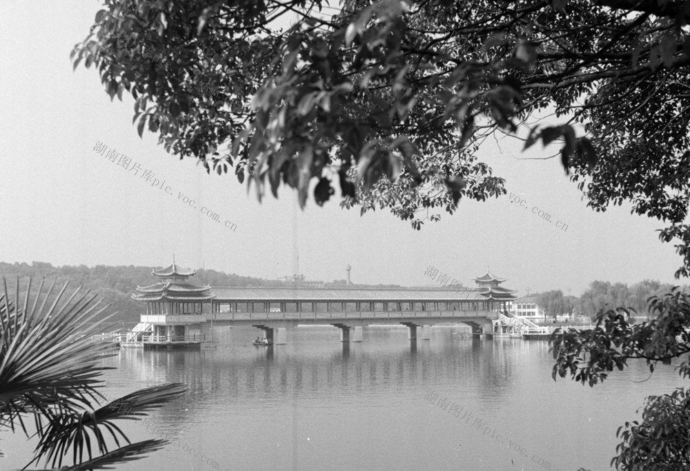  Wind rain bridge 