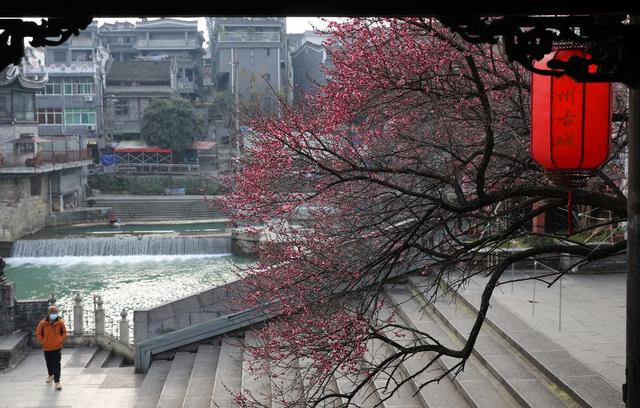 古城 梅花