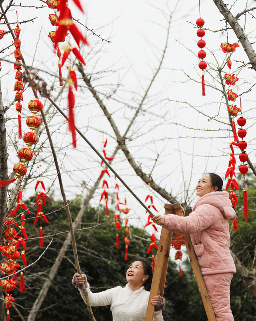 中国结 喜庆 新春