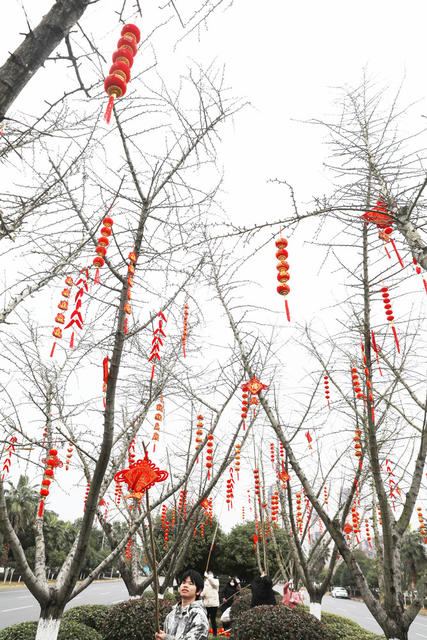 中国结 喜庆 新春