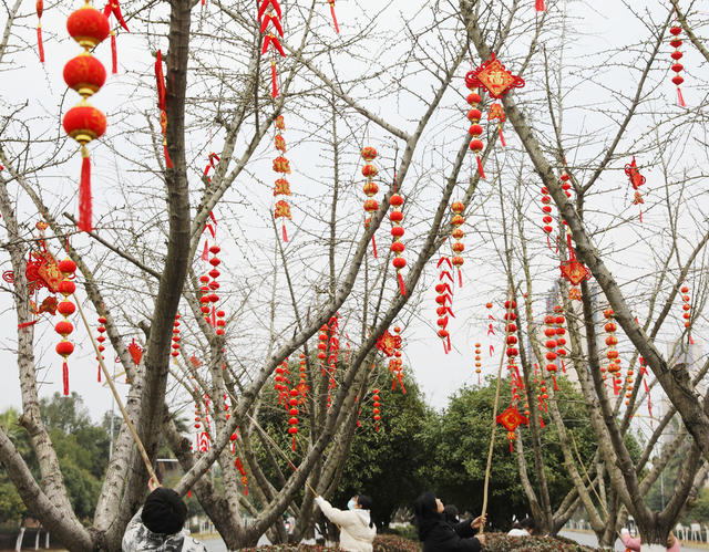 中国结 喜庆 新春