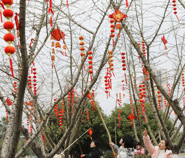 中国结 喜庆 新春