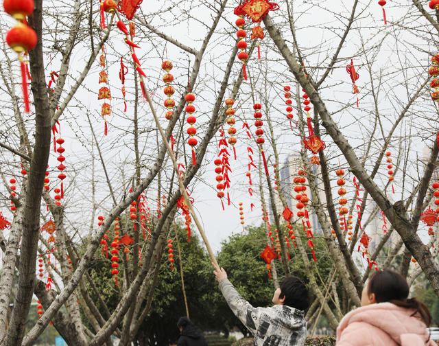 中国结 喜庆 新春