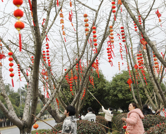 中国结 喜庆 新春