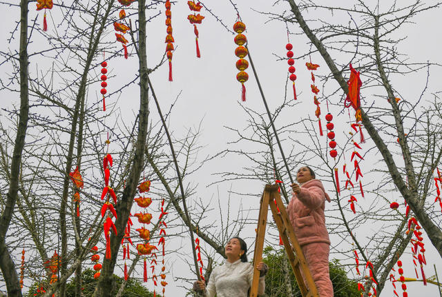 年味 道县  新春  新年