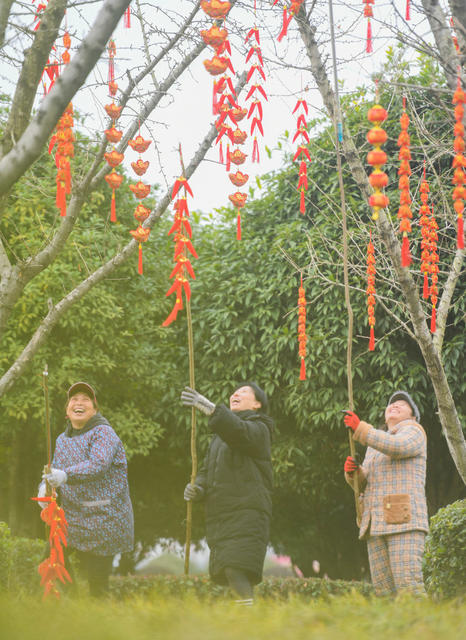 年味 道县  新春  新年