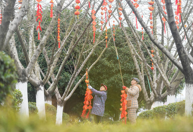 年味 道县  新春  新年