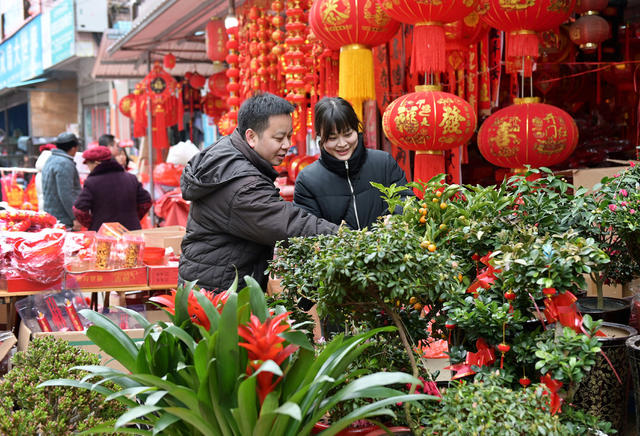   春节  消费 商场   市民  红红火火 年货市场   年味  喜庆饰品 湖南 花卉 武冈