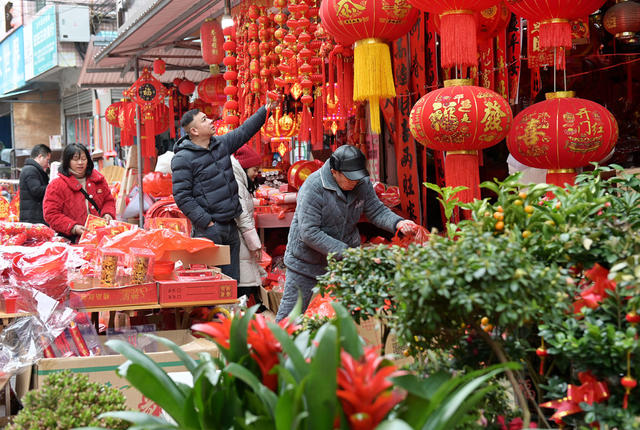   春节  消费 商场   市民  红红火火 年货市场   年味  喜庆饰品 湖南 花卉 武冈