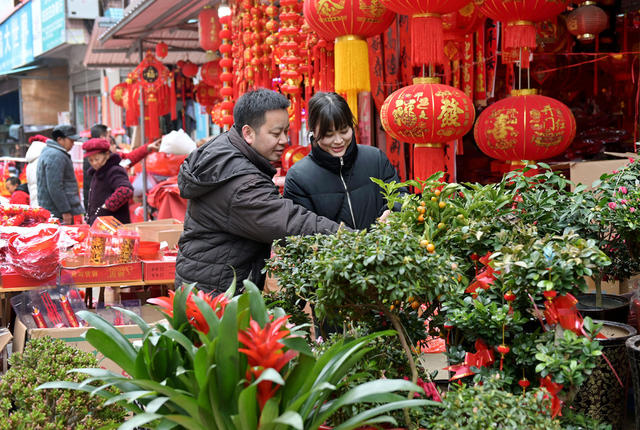   春节  消费 商场   市民  红红火火 年货市场   年味  喜庆饰品 湖南 花卉 武冈