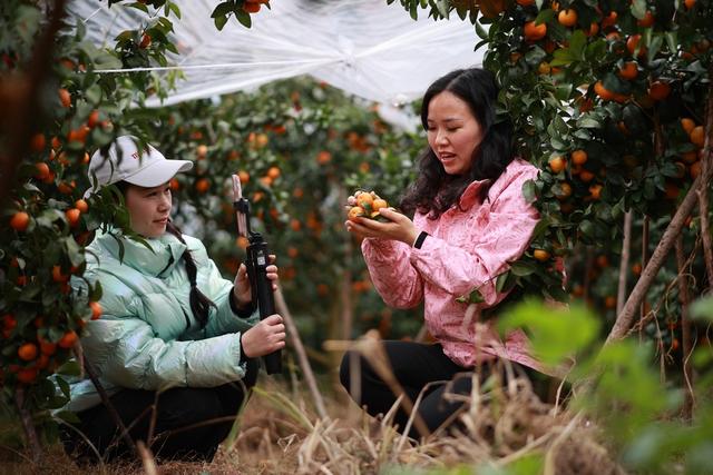电商、直播、带货、主播、新业态