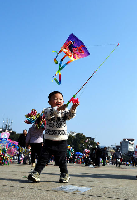 春光 市民 风筝 自然