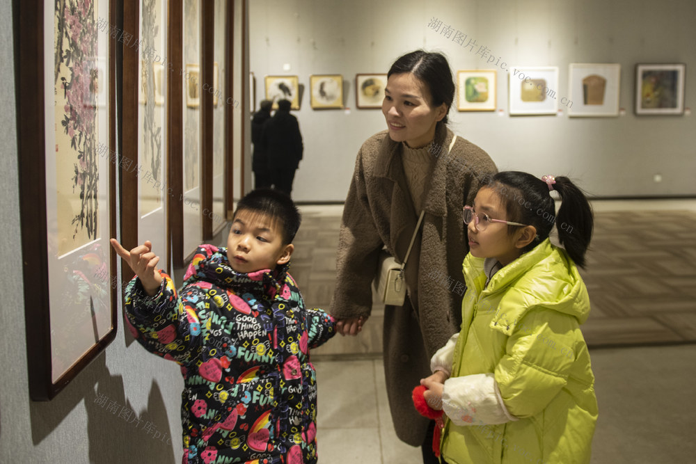 湖南娄底 春节 美术馆 过大年 花鸟画 假日