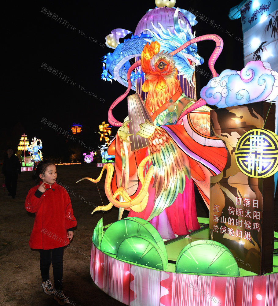 灯展 春节 市民 喜庆