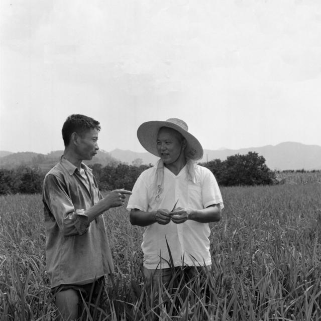 人民的公仆